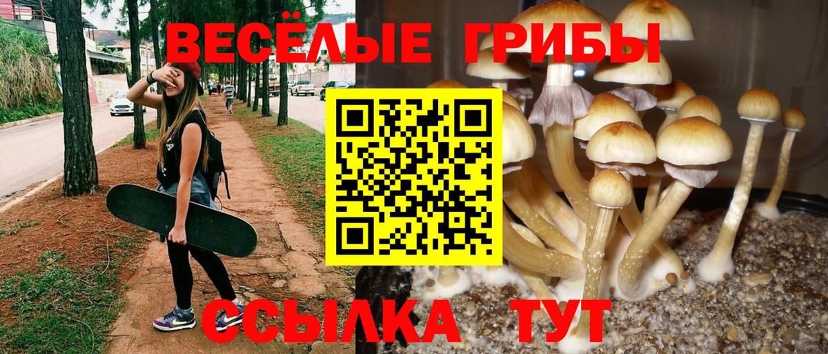 Котельники  Псилоцибиновые грибы мицелий  Вход с VPN 